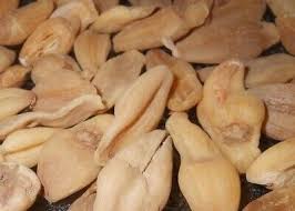 Attēlu rezultāti vaicājumam “Colchicum luteum”