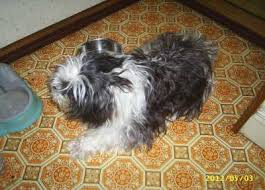 Image result for 201205.html#201205031