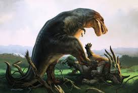 Image result for Imagini tehron