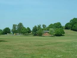 Image result for Frimley Green Cricket Club