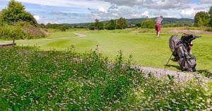 Image result for Nailsea & Backwell Badminton Club