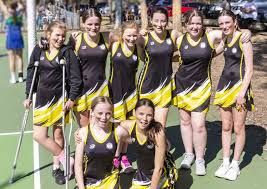 Image result for Normanton Falcons Netball Club