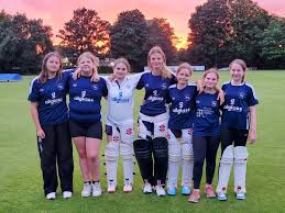 Image result for Yoxford Cricket Club