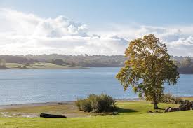 Image result for Hawkhurst Golf Club, Kent