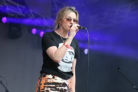 Image result for louise wener