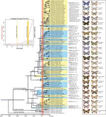 Attēlu rezultāti vaicājumam “Vacciniina optilete underside”