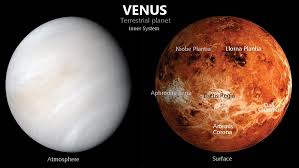 Image result for venus