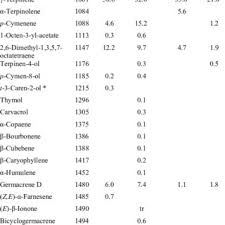 Attēlu rezultāti vaicājumam “Chaerophyllum aromaticum fruit”