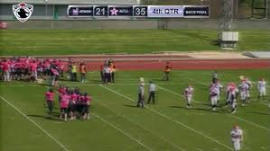 Image result for Southampton Stags