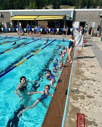 Image result for Gosport Dolphins Swimming Club
