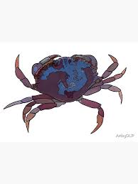 Image result for Cancer pagurus