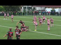 Image result for Halton Farnworth Hornets A R L F C