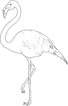 Flamingo coloring page