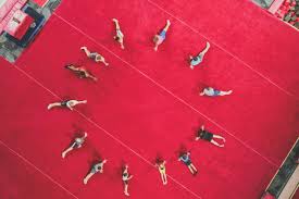 Image result for Lincoln Gymnastics Club