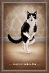 BLACK HAL" Outdoor Advert for Fresh Step Cat Litter by DDB San ...