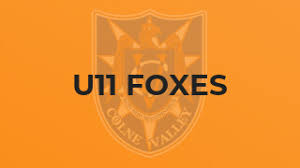 Image result for Colne Valley Football Club- Girls