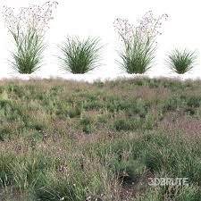 Attēlu rezultāti vaicājumam “Briza media”