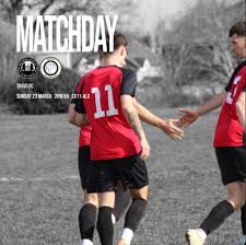 Image result for Newdigate F C
