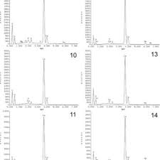 Attēlu rezultāti vaicājumam “Diderma globosum sessile”