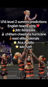 Image result for Chiltern Cheetahs