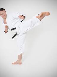 Image result for Taunton Karate Jutsu