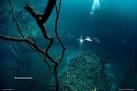 Amazing Underwater River : Cenote Angelita in Mexico