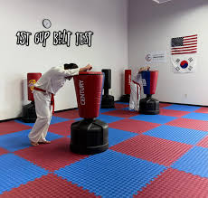 Image result for North West TaeKwonDo