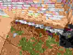 Image result for 4641027870