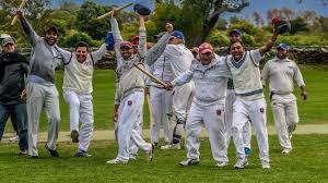 Image result for Swyncombe Cricket Club