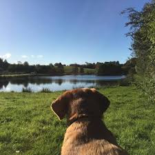 Image result for Annbank Angling Club