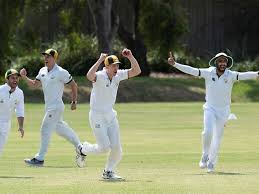 Image result for Waverley Cricket Club