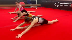 Image result for Park Wrekin Gymnastics Club