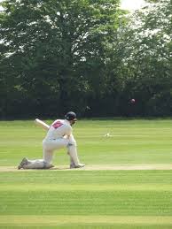 Image result for Reed Cricket Club