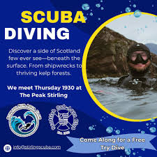 Image result for Seaham Sub Aqua Club