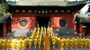 Image result for Shaolin Ancestors kung Fu School