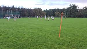 Image result for Causeway Hurling Club