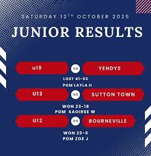 Image result for Elmdon Netball Club