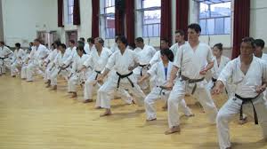 Image result for Ataru Shotokan Karate Club