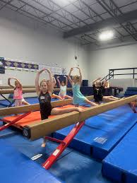 Image result for Vernon Park Gymnastics