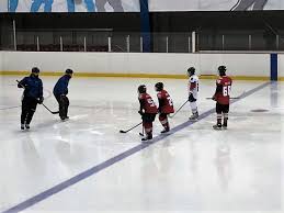 Image result for Streatham Night Wolves Ice Hockey Team