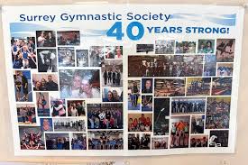 Image result for North Devon Display Gymnastics Club