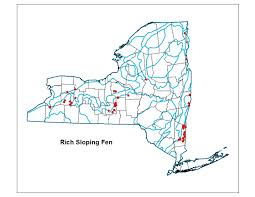 Attēlu rezultāti vaicājumam “Pseudocalliergon turgescens”