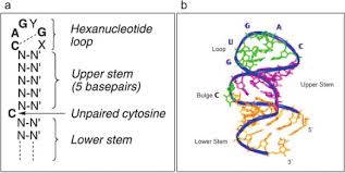 IRE 0.0 IRE 7.5에 대한 이미지 검색결과