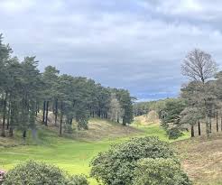 Image result for Hindhead Golf Club