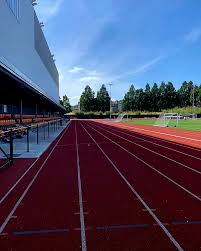 Image result for Meadowbank Edinburgh Jitsu Club