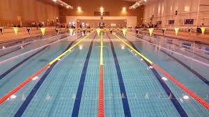 Image result for Rushmoor Royals