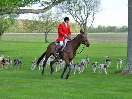Image result for Haydock Hunters Speedminton Club