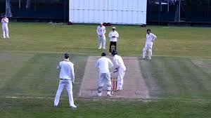 Image result for Shepherds Bush Cricket Club