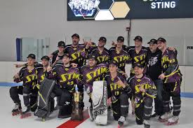 Image result for Demons Skater Hockey Club