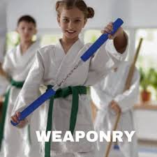 Image result for middlesbrough karate academy